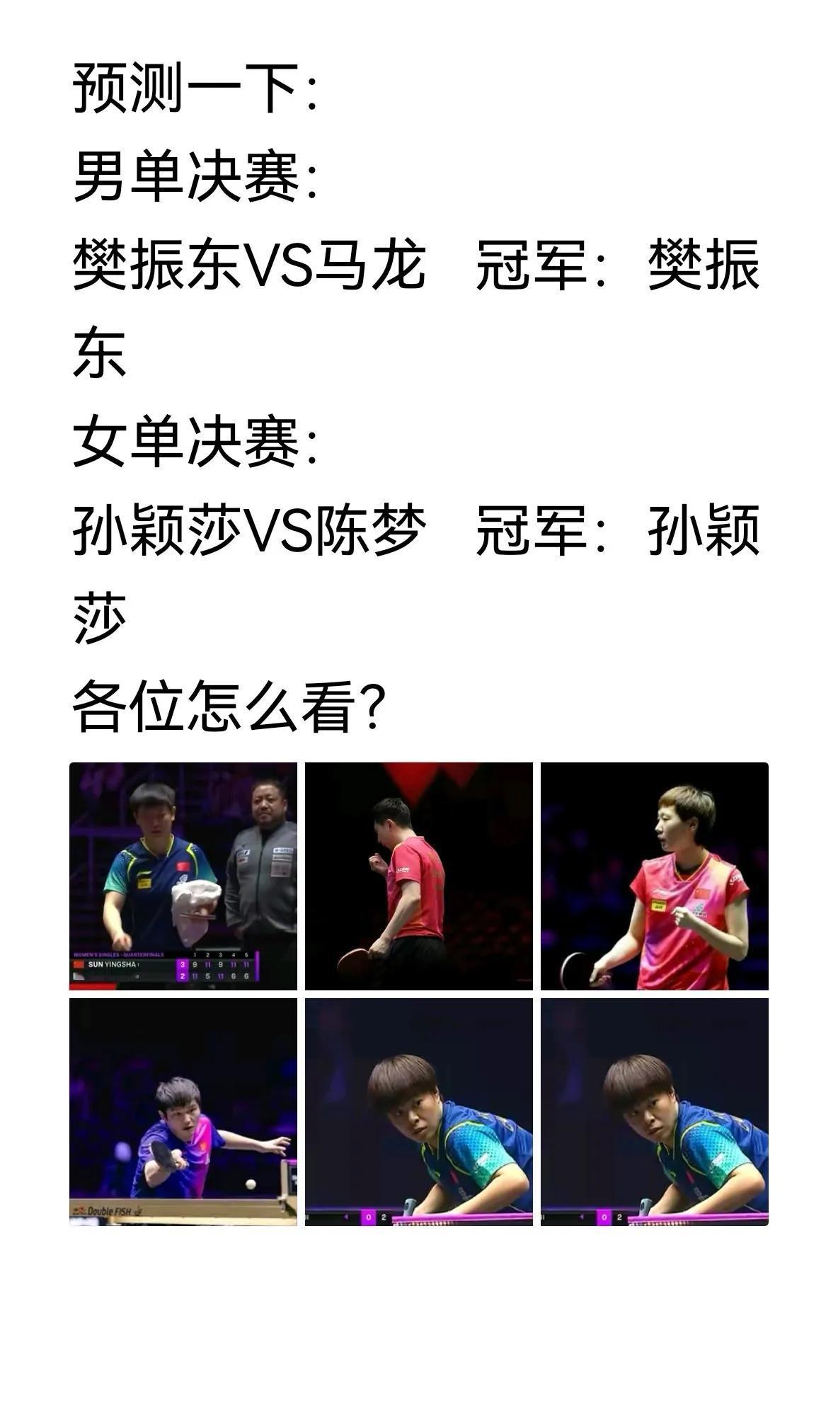 不好意思，这一次又全预测错了！我的预测是马龙与樊振东争冠，结果是马龙输给了梁靖崑
