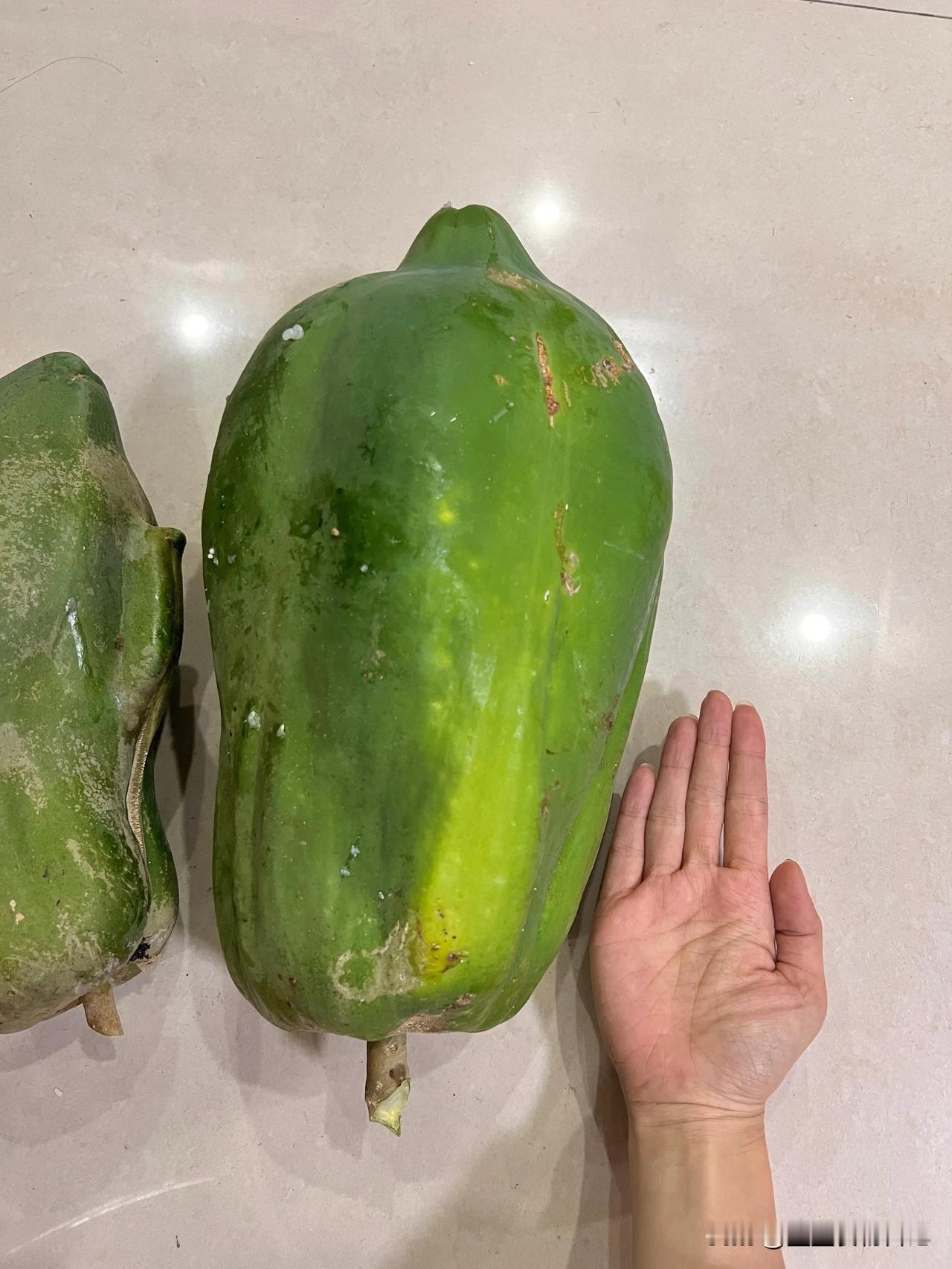 广东亲戚一大早从他的农场摘给我们的瓜！听说是木瓜！？？？？？这真是木瓜？？为啥跟