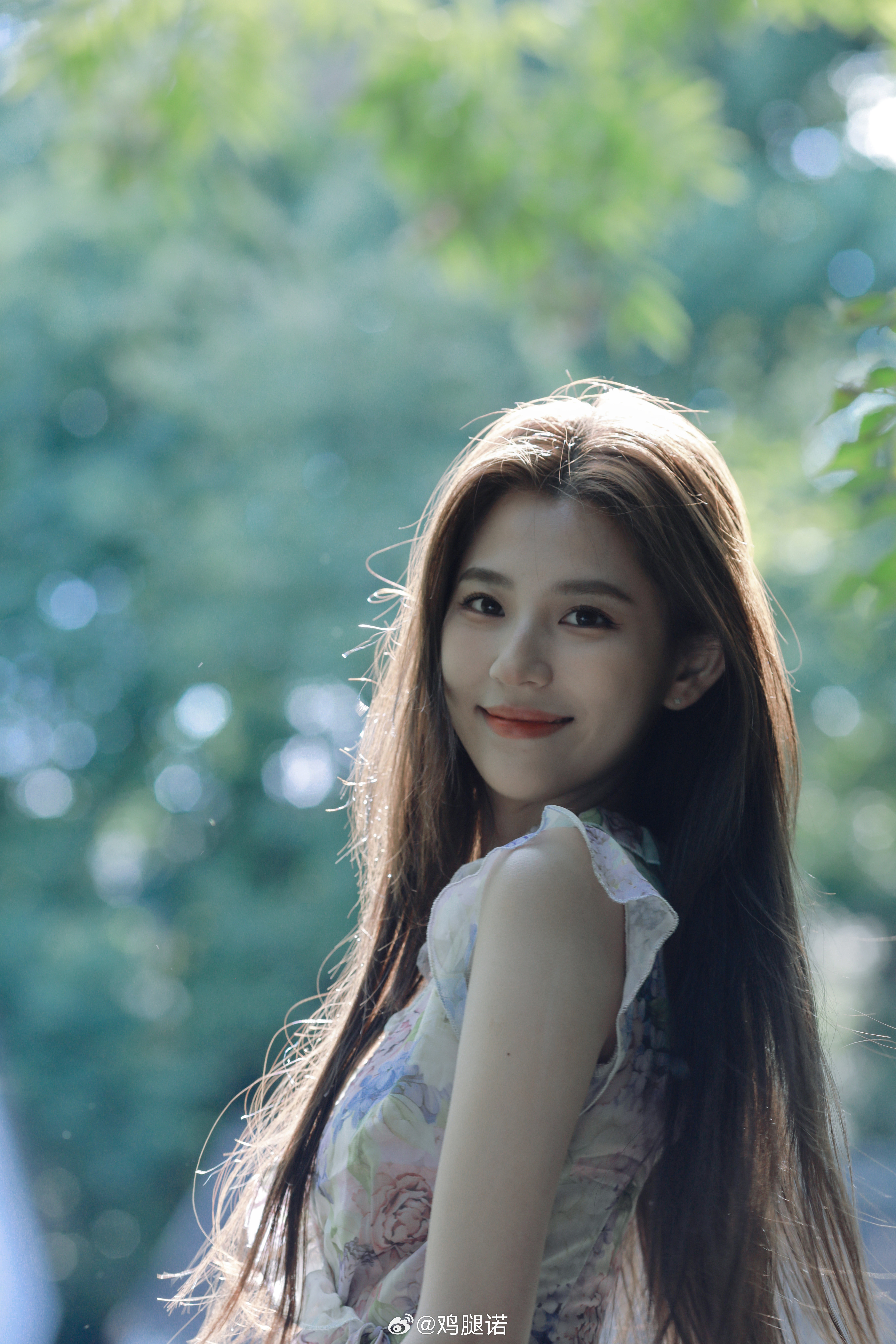 玉簪花 