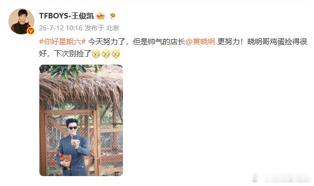 王俊凯让黄晓明下次别捡鸡蛋了 综艺笑点藏在鸡棚里，王俊凯常年照料小鸡收获颇丰，黄