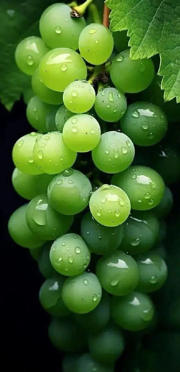 分享图片 