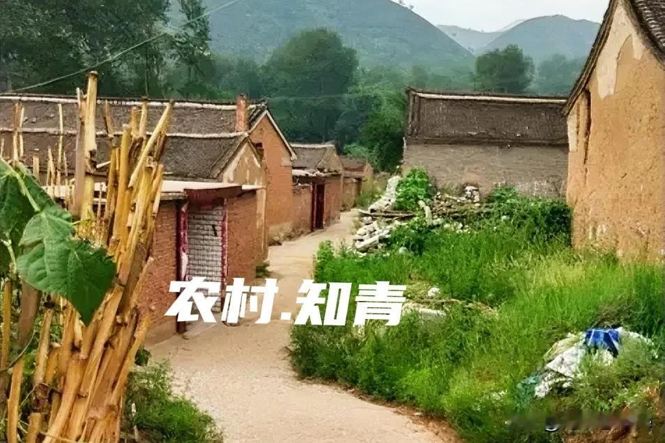 插队近10年，忘不了那三样入口的食物——
首推大米，我的主食。单，双季稻，当年种