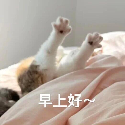 早💛～ 