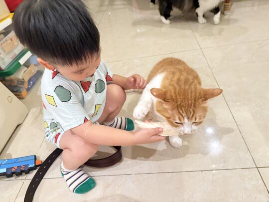 拿来吧你