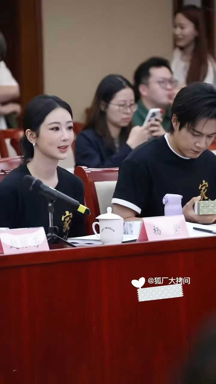 杨紫出席了家业座谈会，紫这个低盘发完全高干文女主既视感