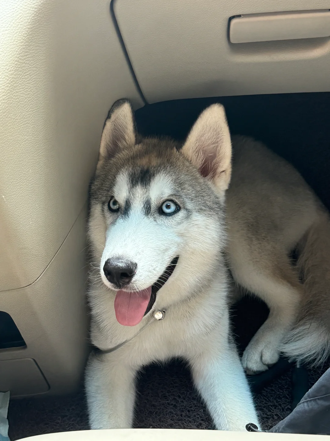 出去玩就开心的小宝