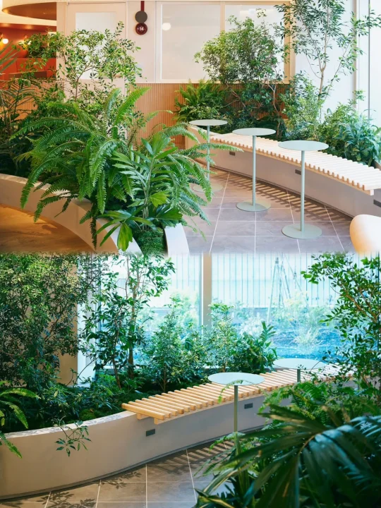 案例share｜室内绿植 光影与绿意的平衡🌿