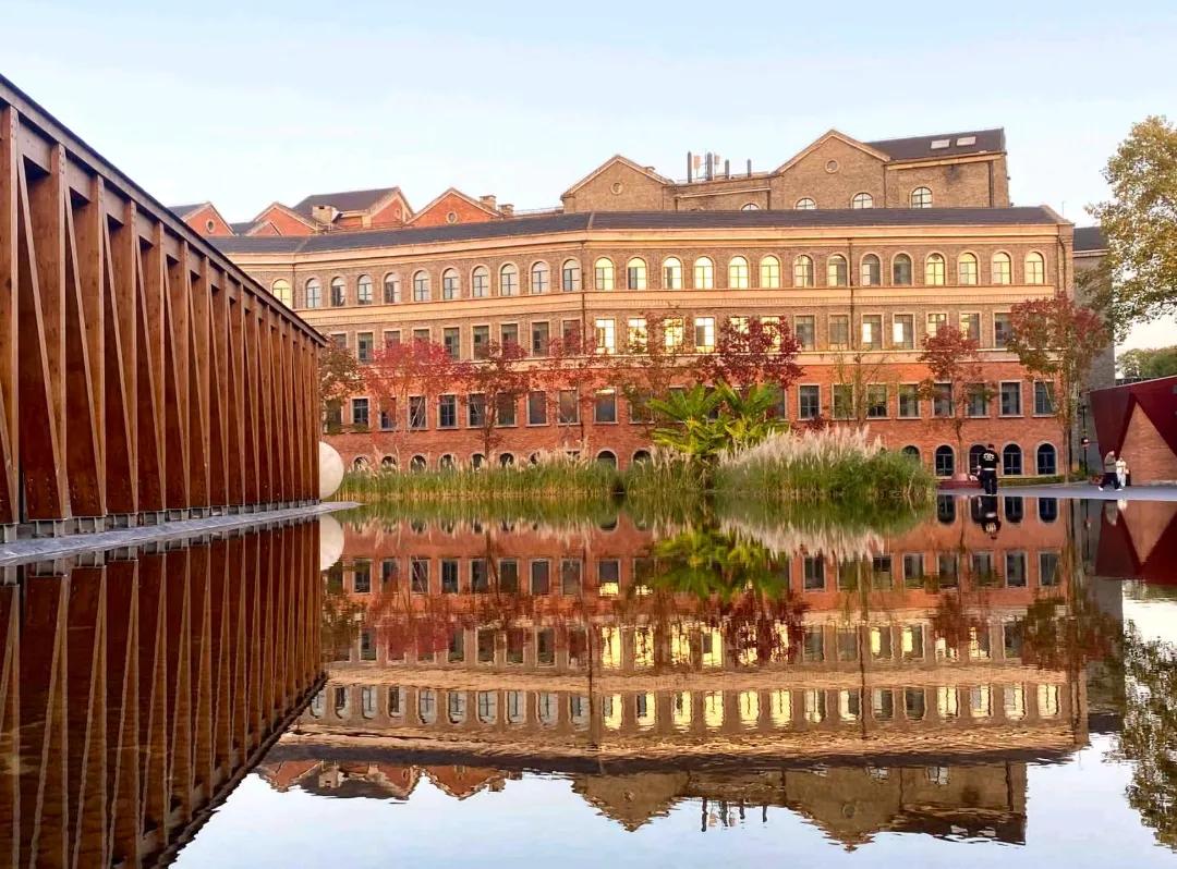 立冬：有衣暖身，有人暖心。希望这个冬天，阳光温暖，岁月静好，我们都无病无灾，平安
