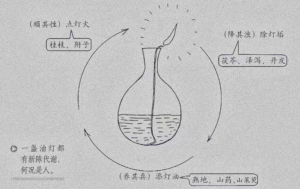 补肾其实和点油灯一个道理，知道了油灯怎么点亮，懂了该如何养肾！（如图所示）
 