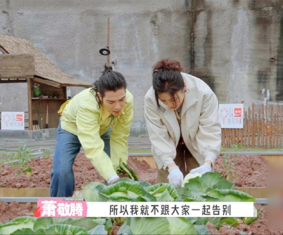 萧敬腾暂别桃花坞，重庆的雨一下就停了

王子奇和李嘉琦都惊呆了，雨神一走马上出太