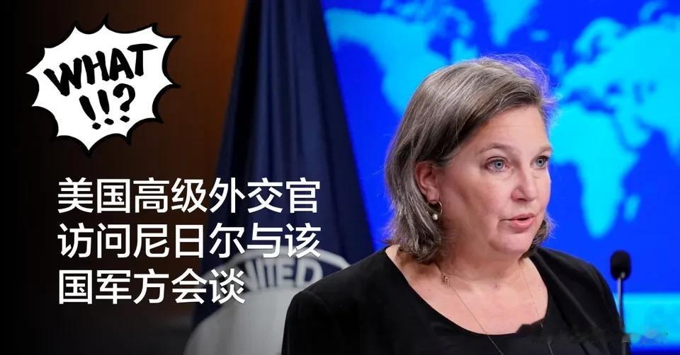 盟友就是华盛顿“出卖”的，不然价值就没有价值。
正值法国“摩拳擦掌”准备对尼日尔