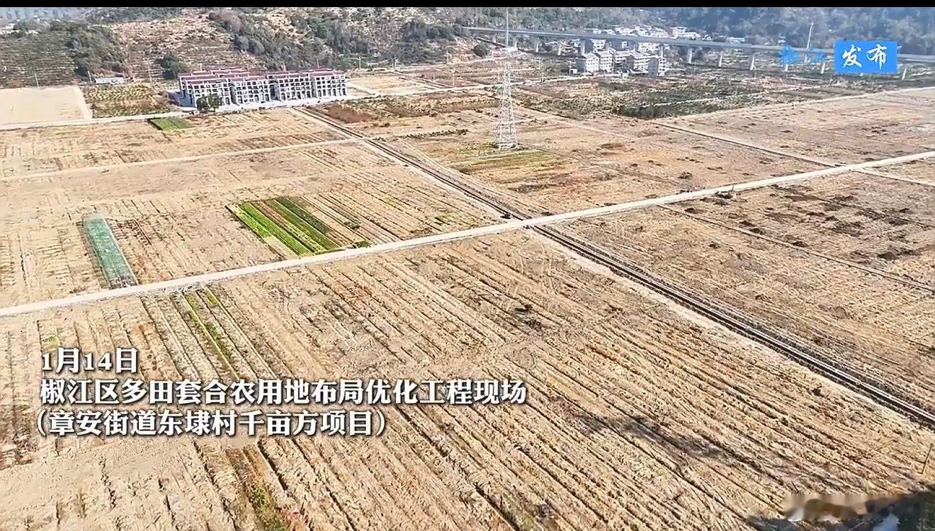 台州散田成方为乡村振兴添彩机械穿梭忙，椒江“多田套合”工程火力全开！1197亩零