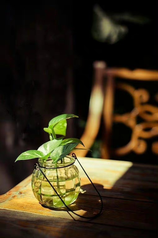 如果你珍惜生命，就不必因为小的苦恼而厌倦生活。因为泥沙俱下并不完美的生活，正是组