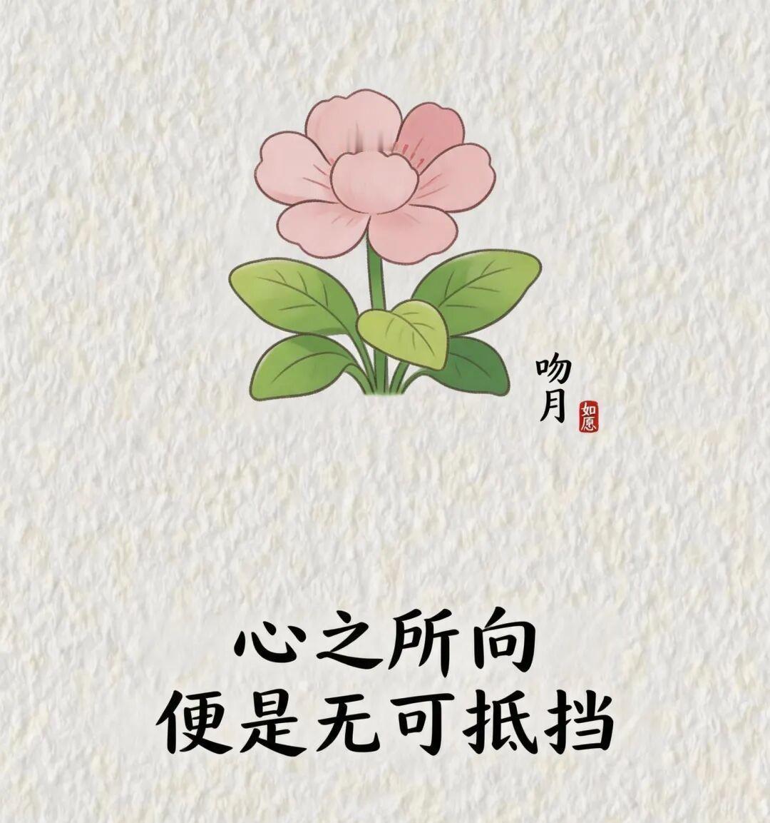 鱼儿眷恋着飞鸟
 
 有些人的出现，仿佛就是为了在某个特定的时空里，为你点亮一盏