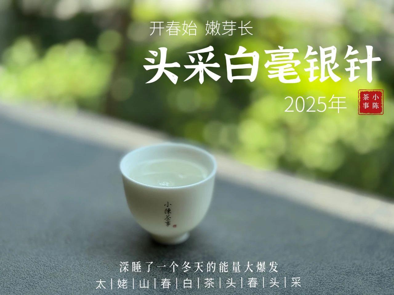 白茶泡完别急着倒掉，记住做3件事
当你喝完了一泡白茶，别急着把叶底倒掉。
①先看
