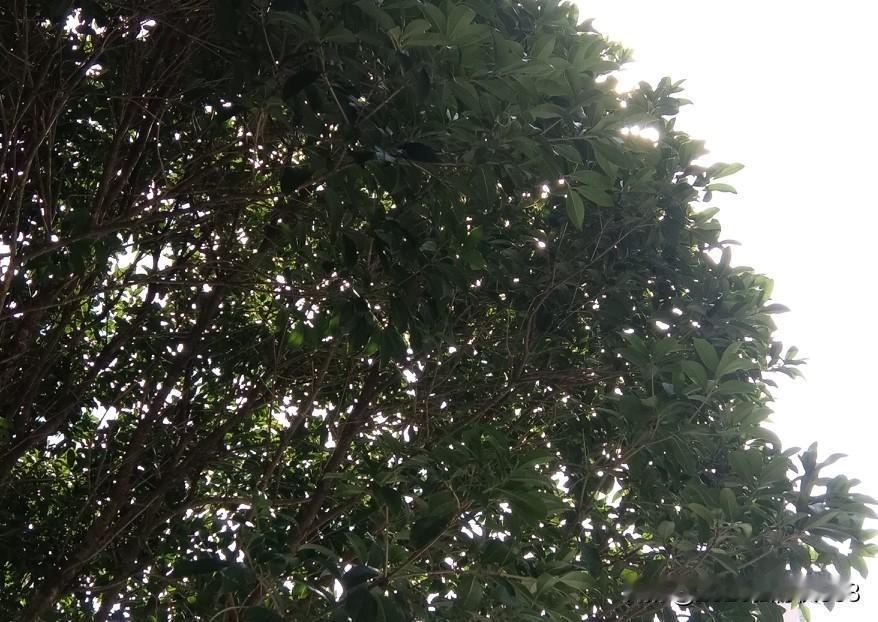 药店的毛利率超高！
在头条聊天室看到有人在讨论这个话题，看到那些数据，真的有那么