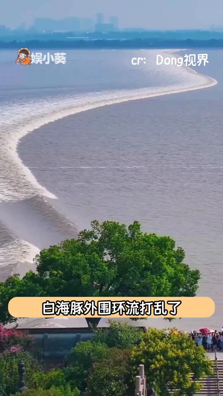 第一眼好漂亮，第二眼不对，是地理题。受台风白海豚影响，钱塘江江滩上浮现大地流沙画