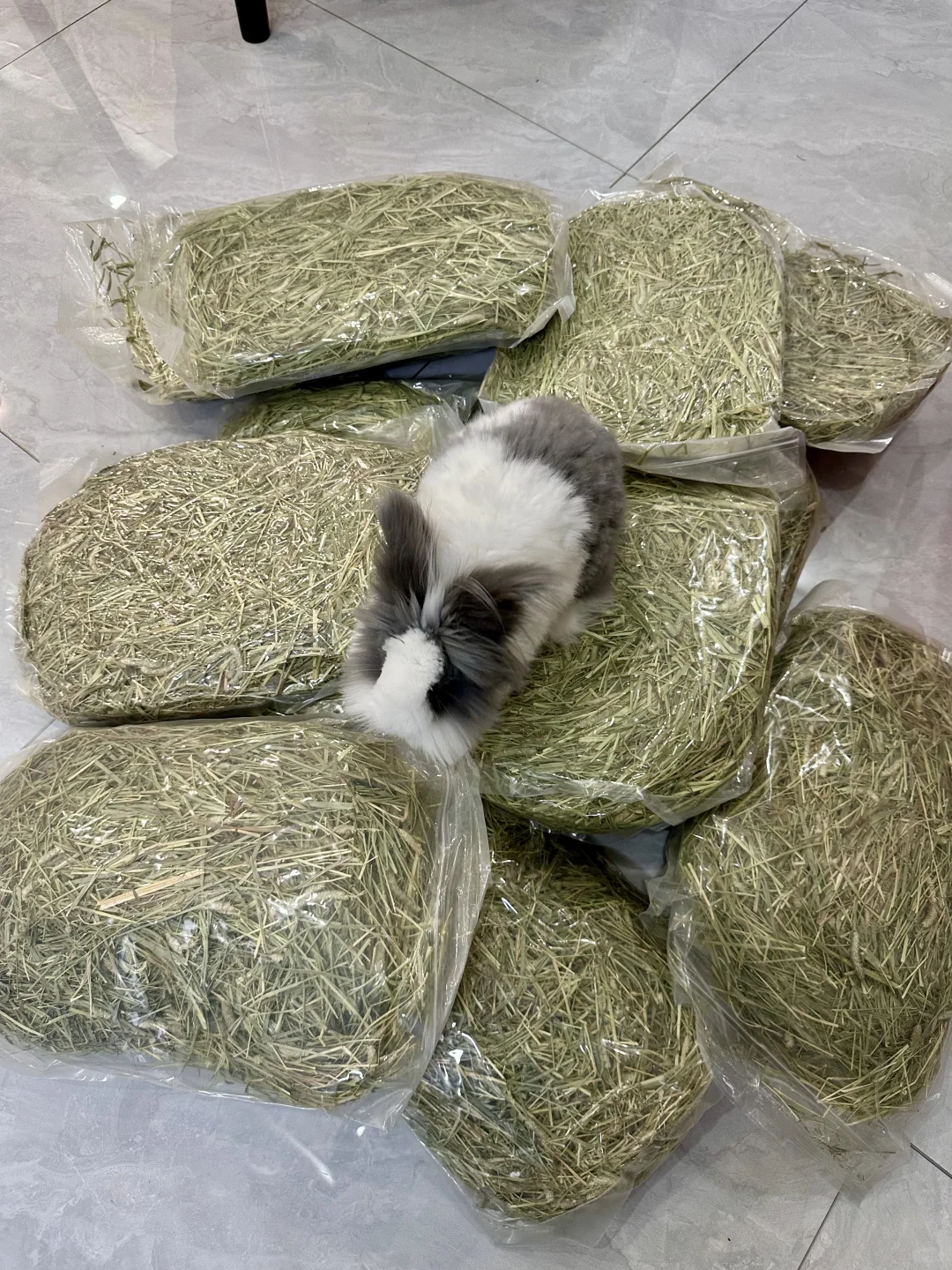 上月为我胖哥打下的兔草江山⛰️双11继续～