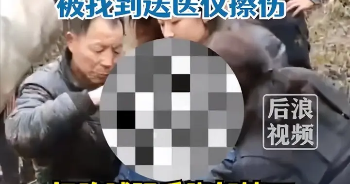 72岁老人在秦岭走失5天5夜，被找到时仅擦伤，救援人员：没吃东西，能熬过来感觉是个奇迹
