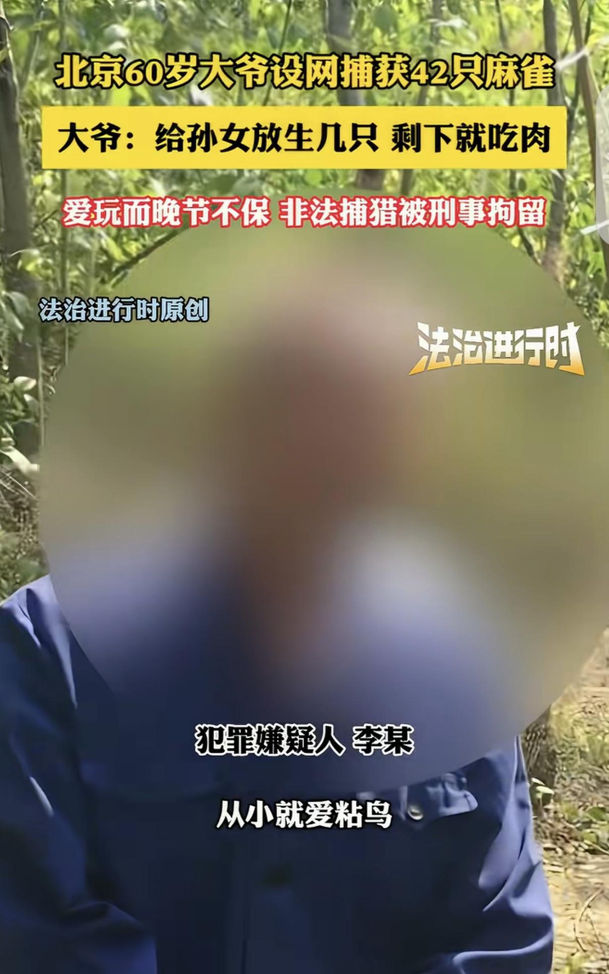 “嘴馋惹得祸！”北京，一60岁大爷，设网捕了42只麻雀，给孙女放生几只，剩下的全