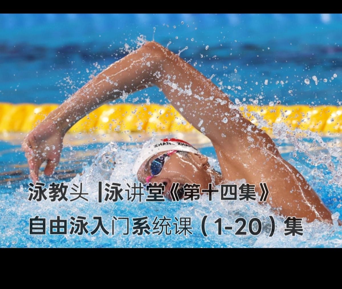 泳教头｜泳讲堂：第14集 核心要收紧，身体不晃动
 
自由泳游不远、游不累，还总