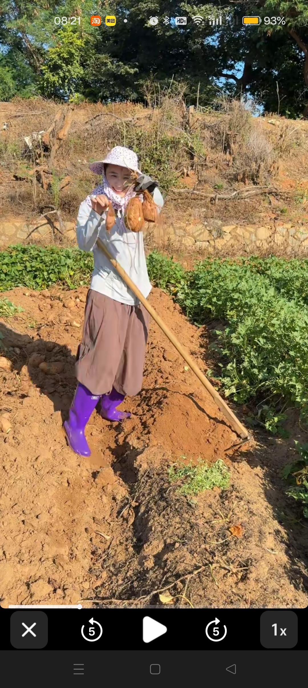 瑾汐秋收时节，陪着爸妈挖红薯😍



她说：要是睡不好，就来地里挖红薯;心里烦