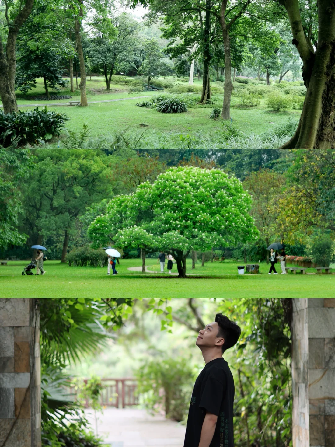 阴雨天大家也来的华南植物园吸氧