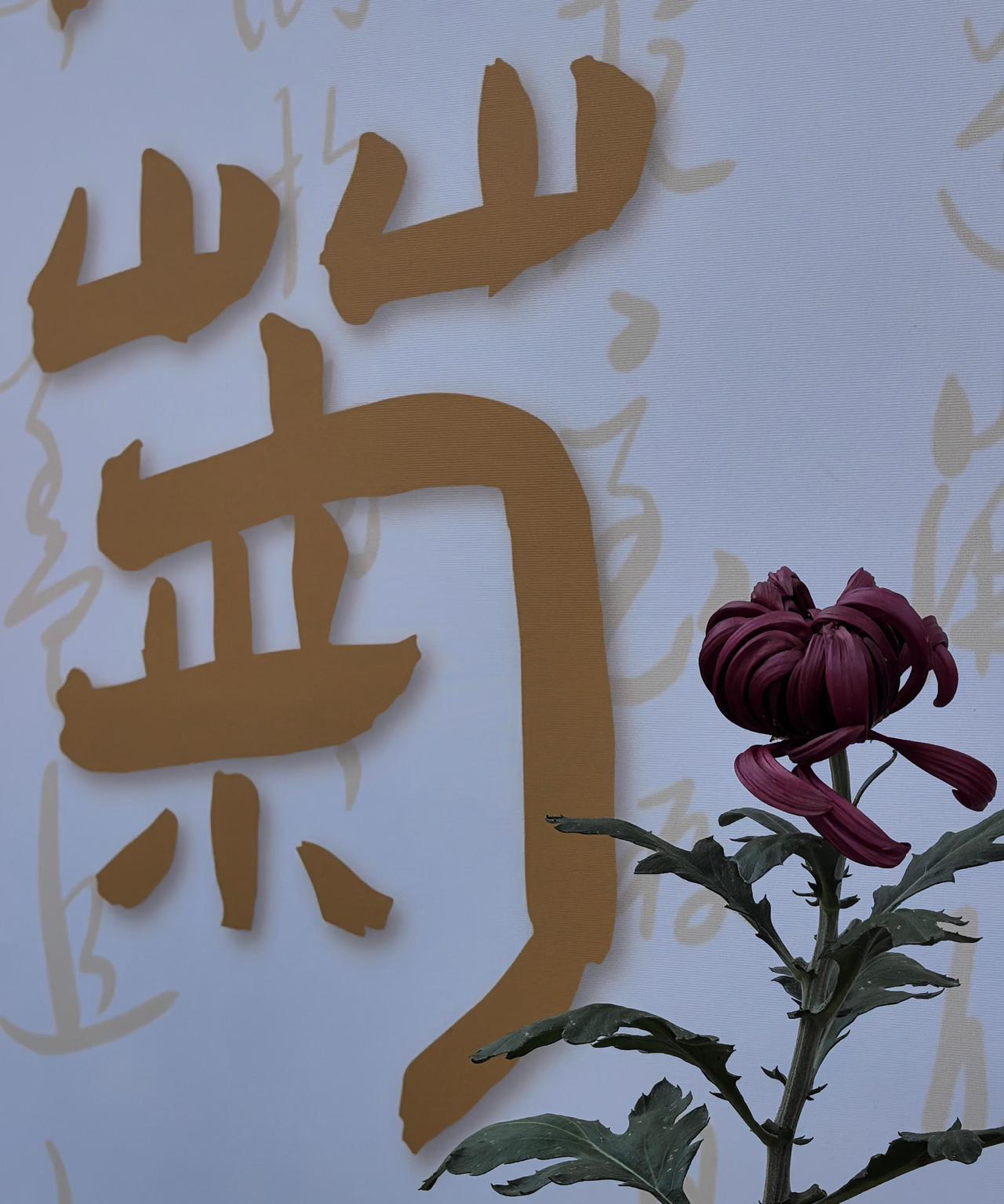 快讯！快讯！
 
据媒体报道，中俄双方近日宣布了扩大能源与交通协作安排。
 
在