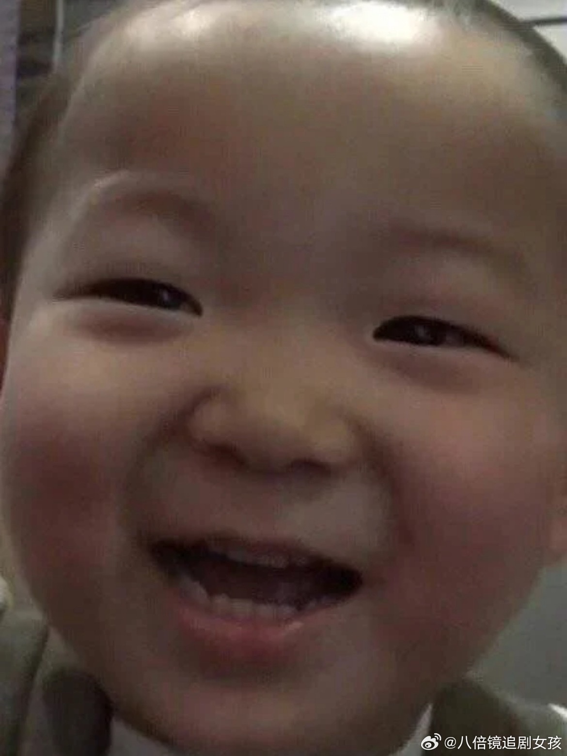 民国居然是蛋仔塑这个呆呆的蛋仔好像民国啊哈哈哈哈两个萌萌的宝宝 