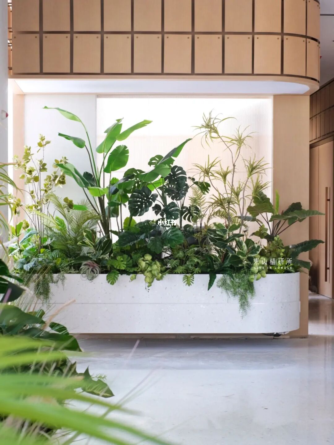 仿真植物造景｜美学馆绿植 不受拘束的创意