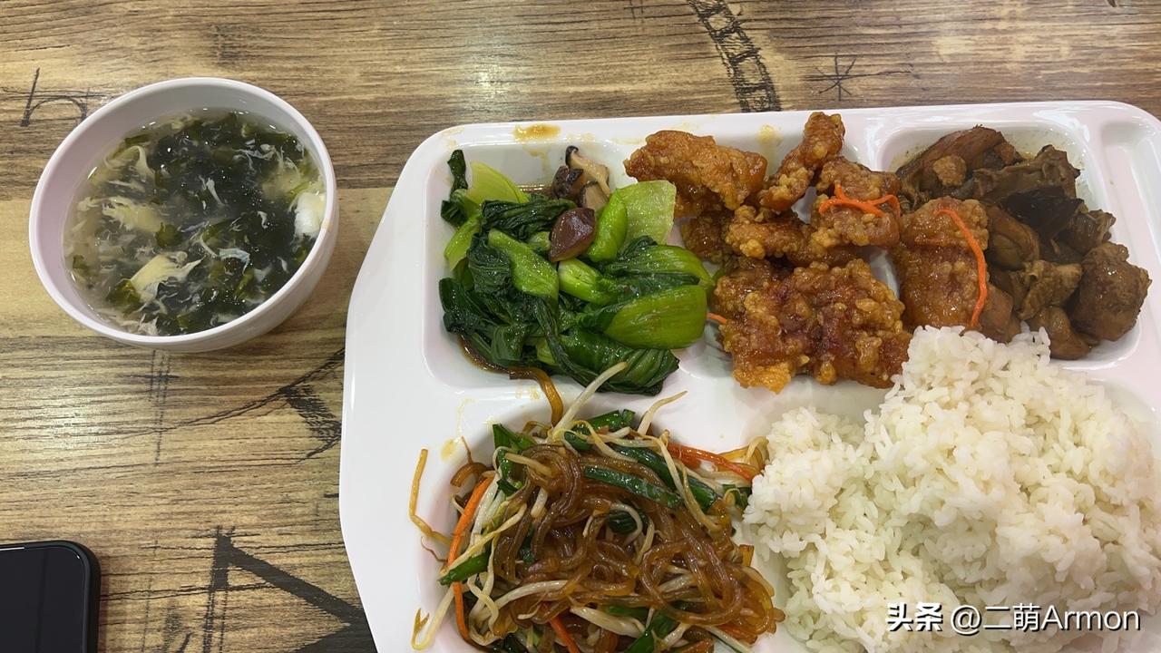 连续三天吃东北盒饭，每天的菜都不重样，哎呀妈呀，这也太好吃了。

同样的价格，其
