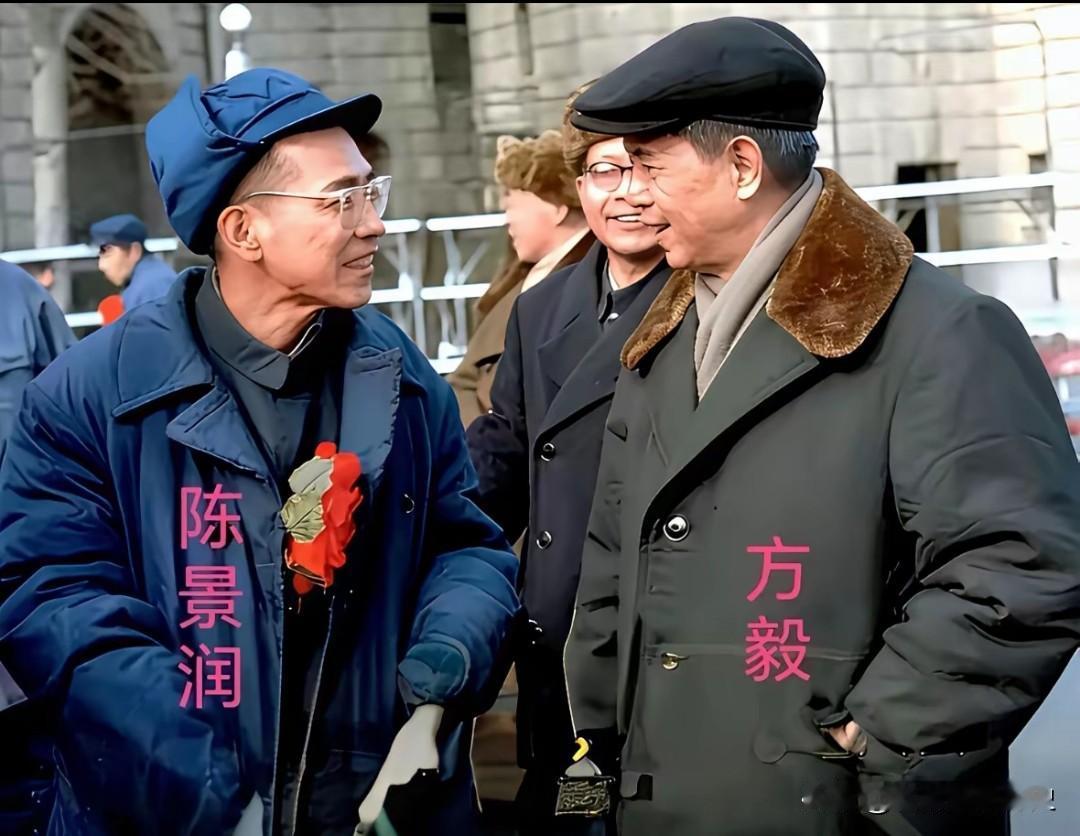 这张照片定格于1978年3月中科院表彰大会，国务院副总理方毅正与数学家陈景润亲切