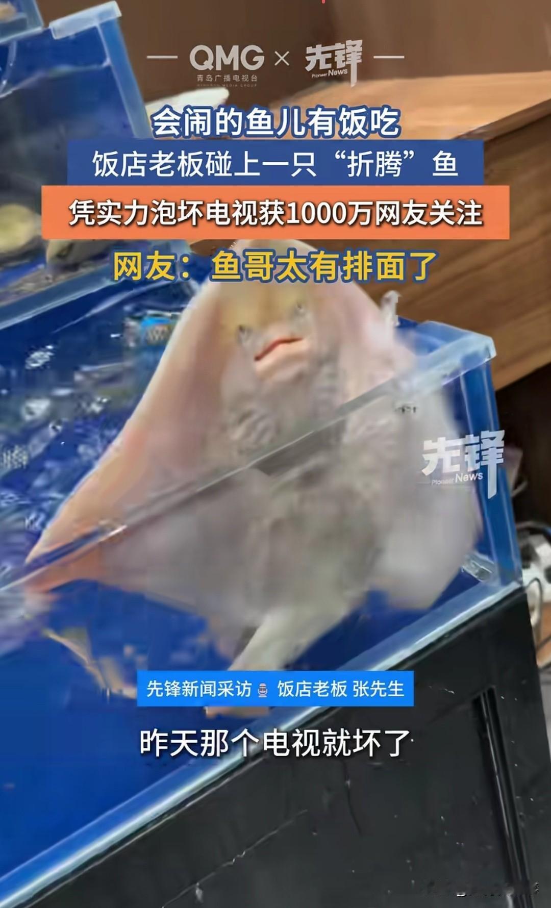 说实话，这事要不是有监控，谁敢信？

一条鱼，大半夜不睡觉，自己搁鱼缸里拼命扑腾
