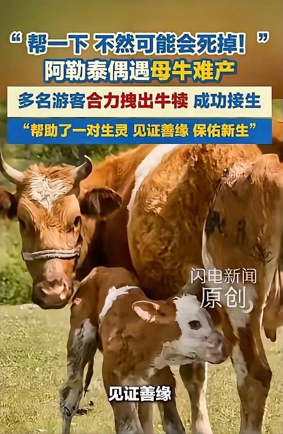 5月25日，新疆阿勒泰的草原上，几位外地游客开启了日常的旅行采风。
一行人本想借