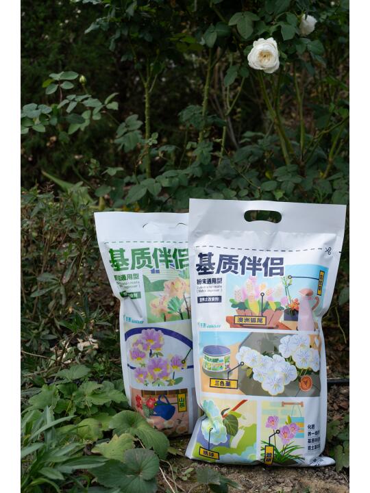 基质伴侣美图