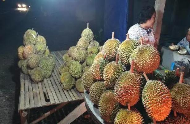 菲律宾榴莲2块，为何国内变贵？
“菲律宾当地榴莲才2块钱一斤，到咱手里咋就翻20