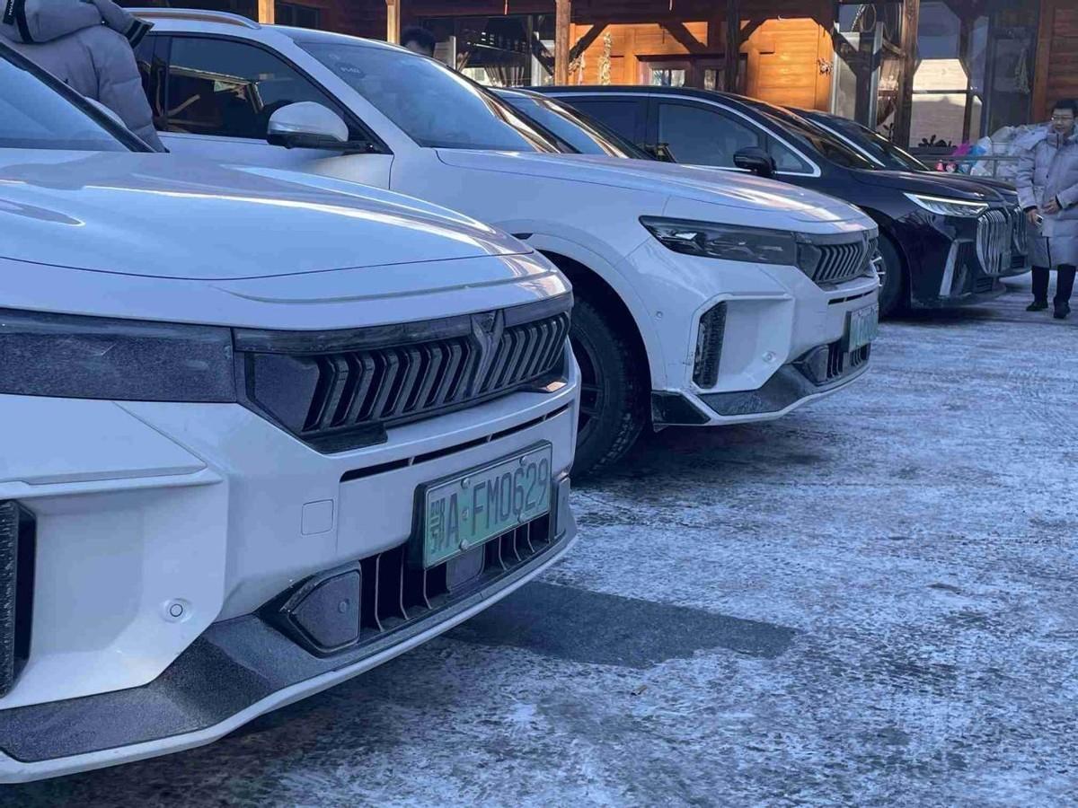 天寒地冻、冰雪交错，唯有新岚图FREE“更应景”！

北方冰雪天太常见了，动不动