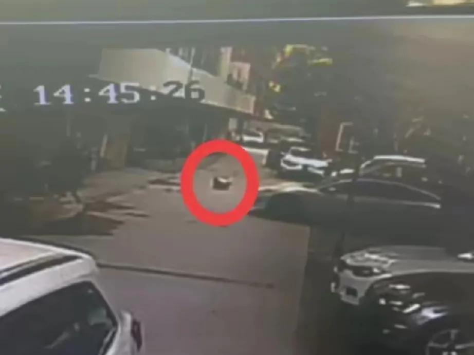 在四川成都的一个小区里，本该充满欢笑与安宁的角落，却发生了一场令人心痛不已的悲剧