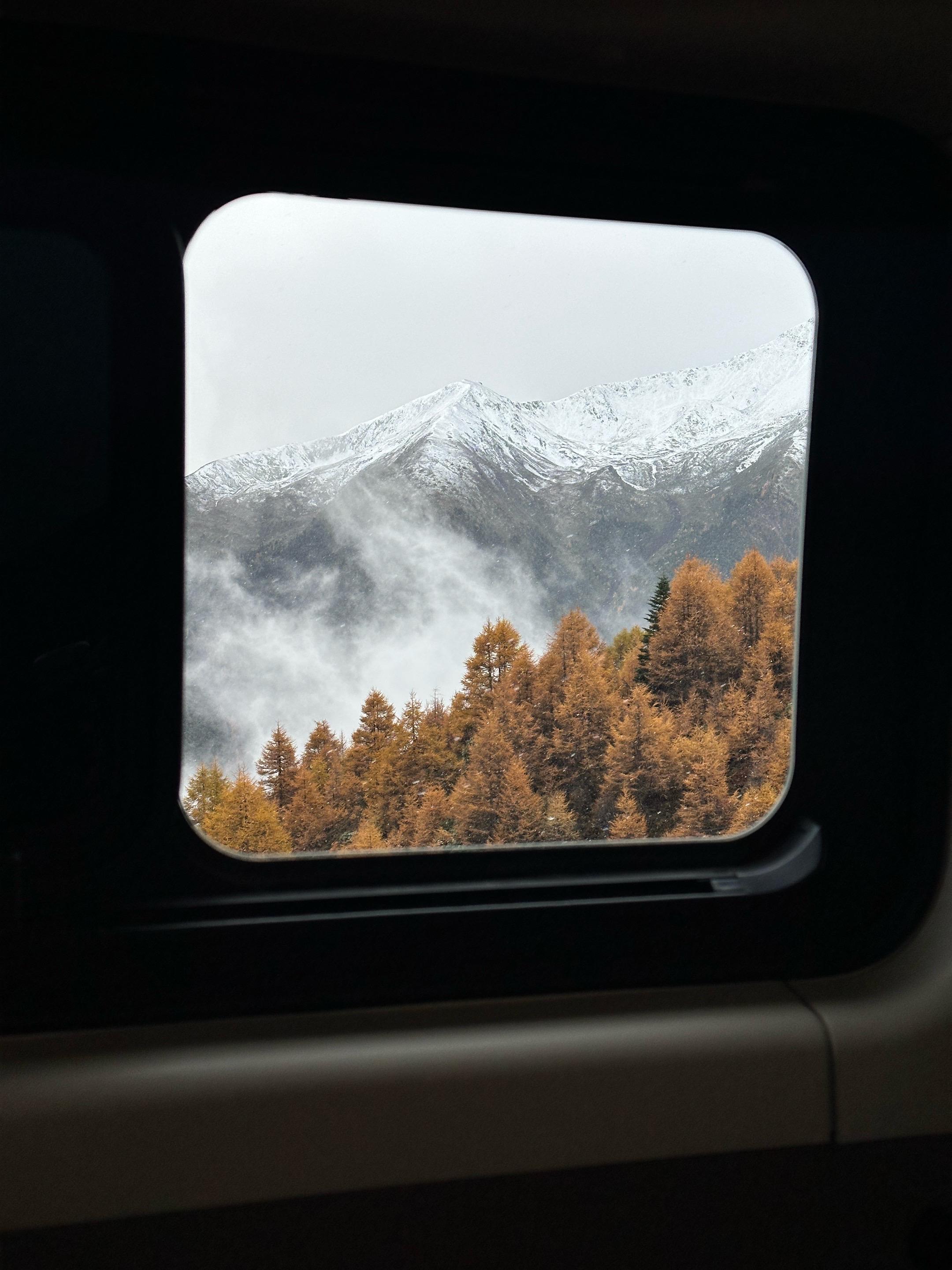 用宏大的世界稀释痛苦 用微小的细节感知幸福