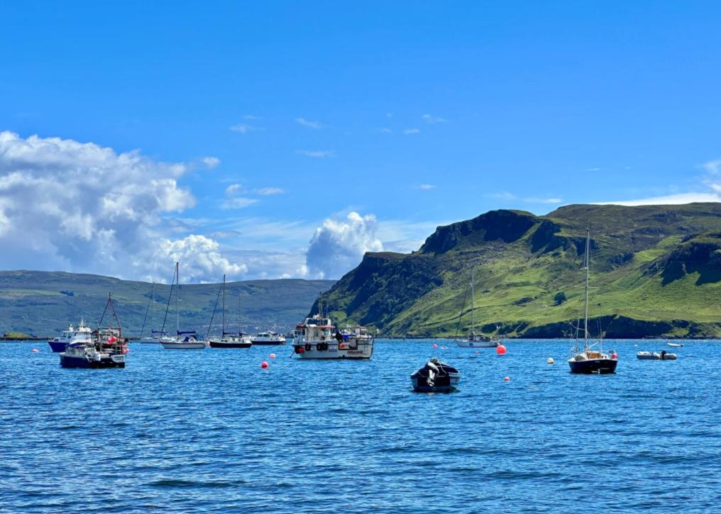 12生肖女容易输给谁？答案太准了！
亲爱的朋友们大家好，我是海林小百科。今天我们