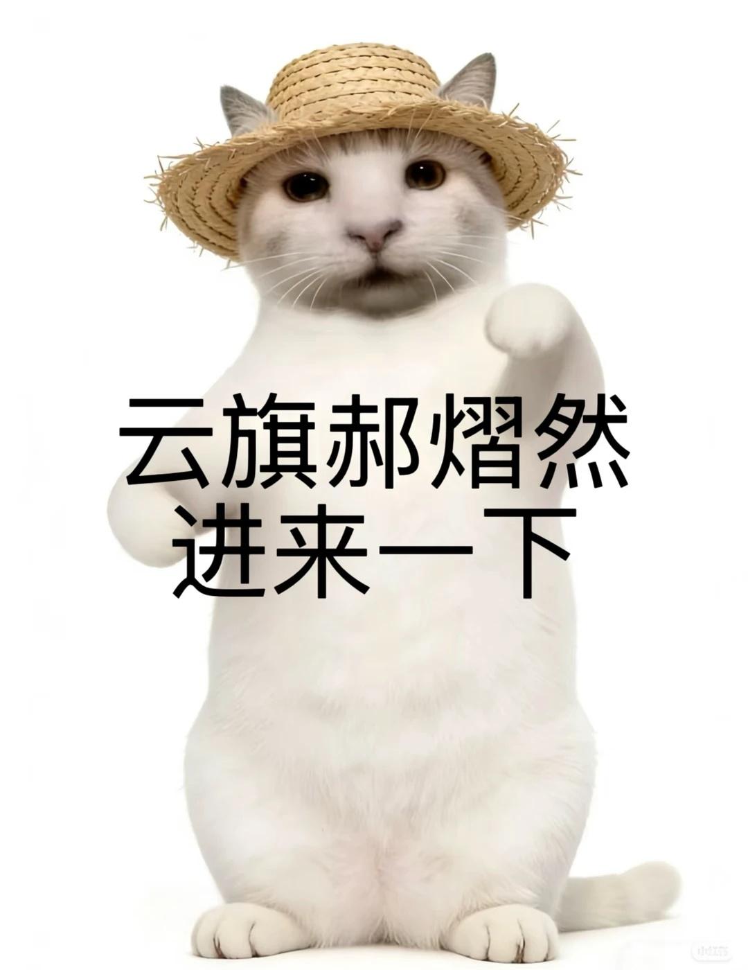 云旗郝熠然进来一下
纯属深夜发疯了我[吃瓜群众]@云旗Yunqi @郝熠然 抽象