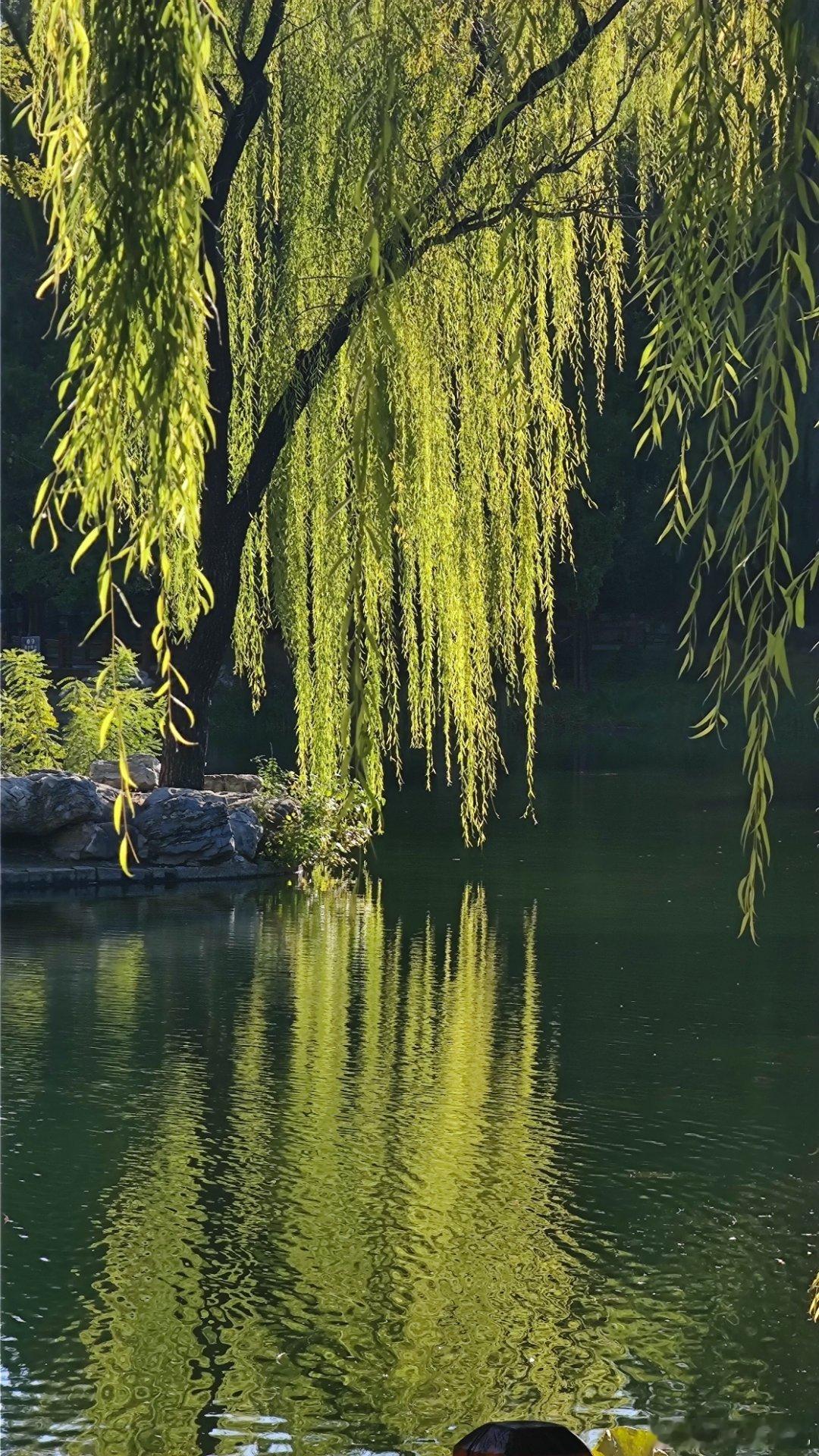 陶然亭公园秋日光影  摄影