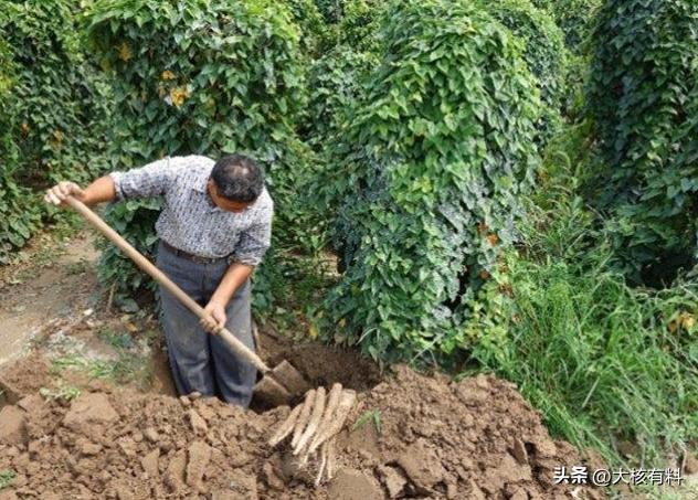 国宝差点就此错过！乌杨汉阙刚被发现时，当地干部并未重视，认为只是些没用的石头。
