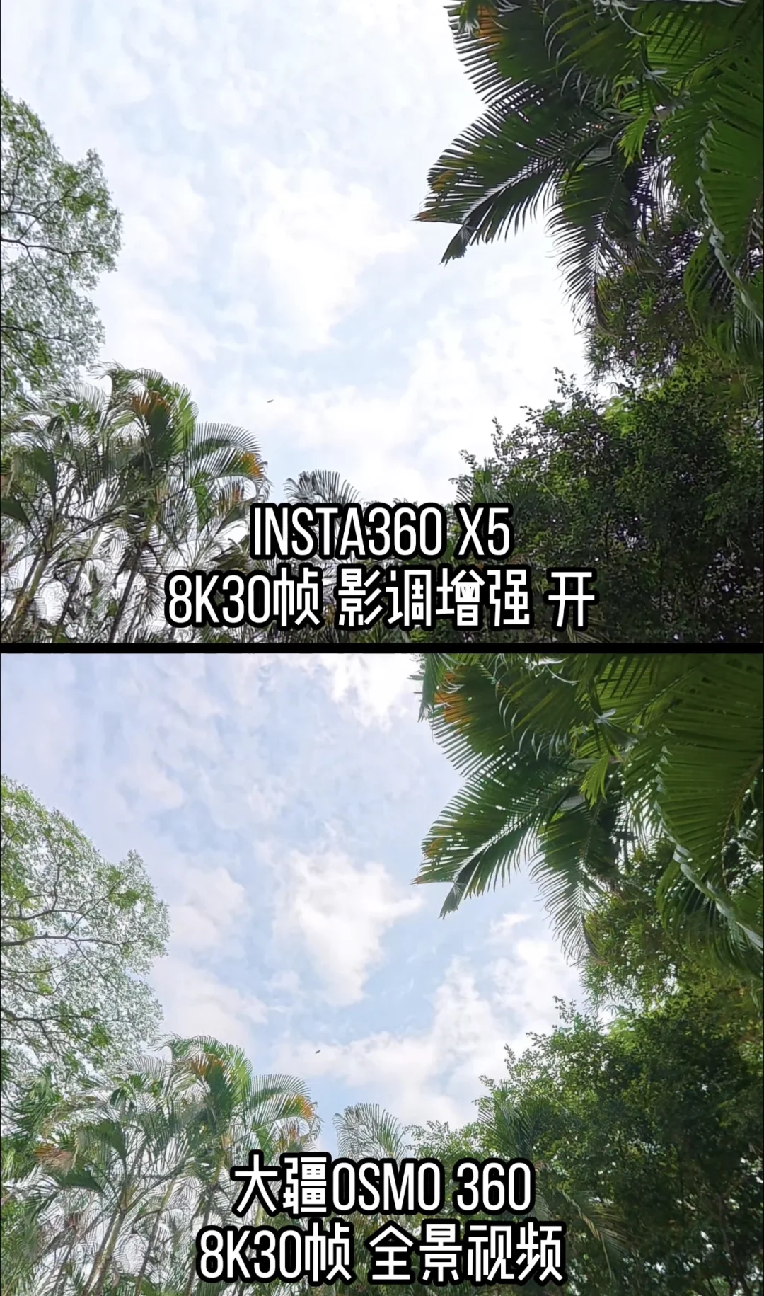 大疆osmo360和Insta360X5实拍画质谁强？
