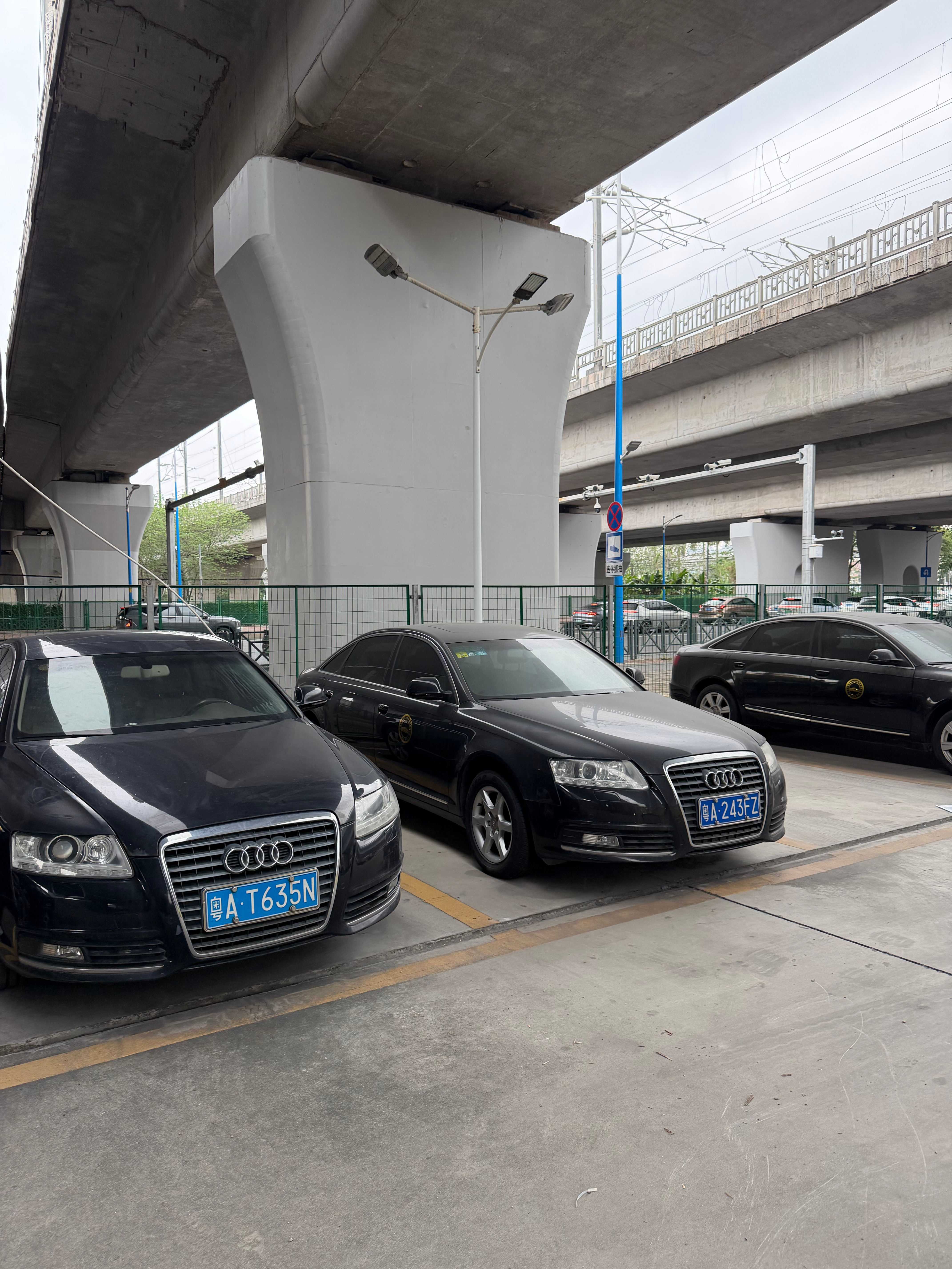 我乖，还以为谁家的，停好久了感觉，全是6子，是不是到了一定日子才会开出来，想当年