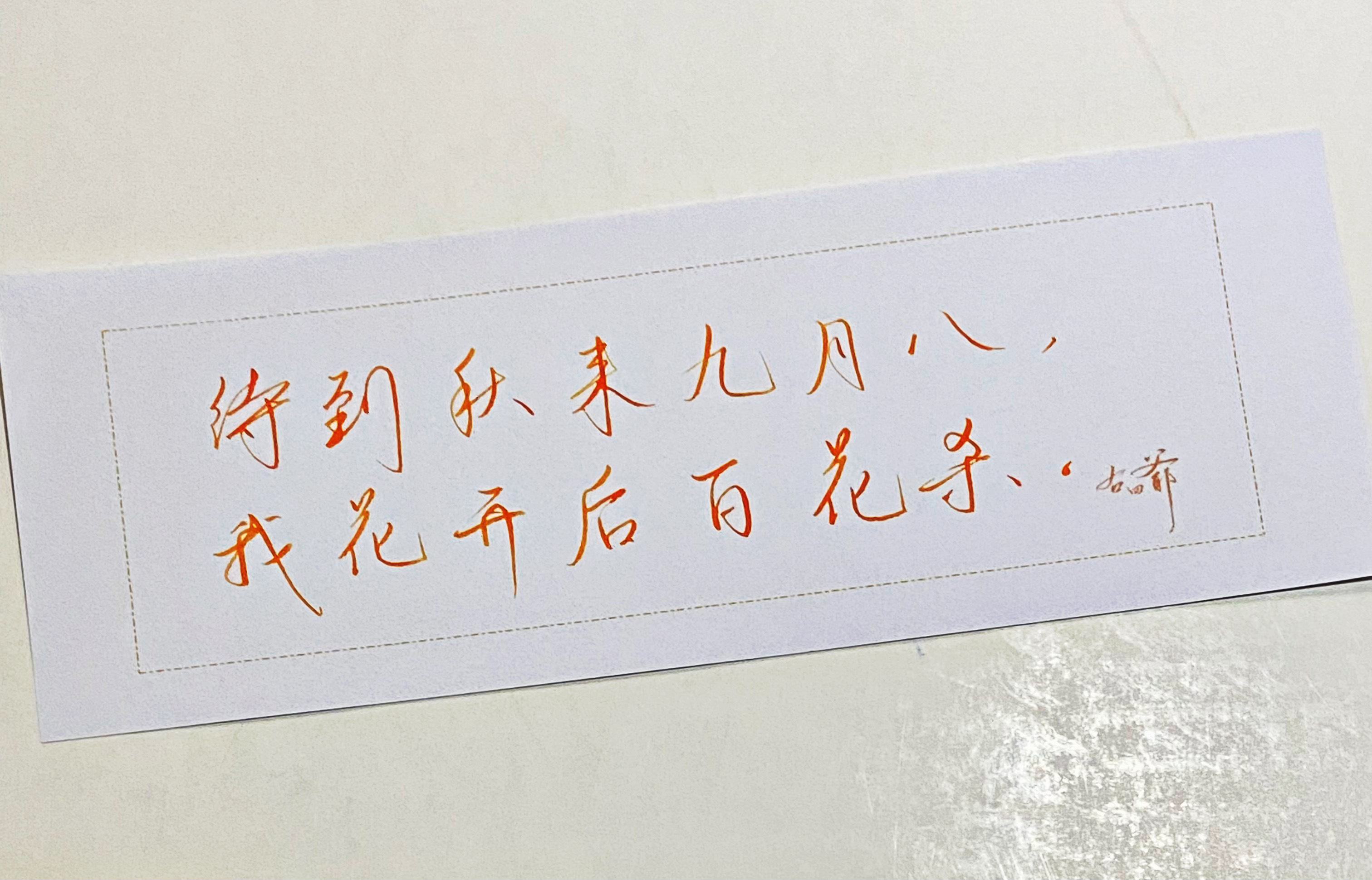 练字  我花开后百花杀 