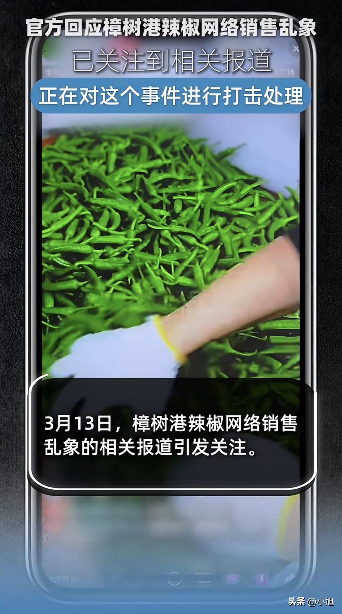 3月13号刚有媒体曝光说现在卖的樟树港辣椒全是假货，结果记者下午点进直播间一看，