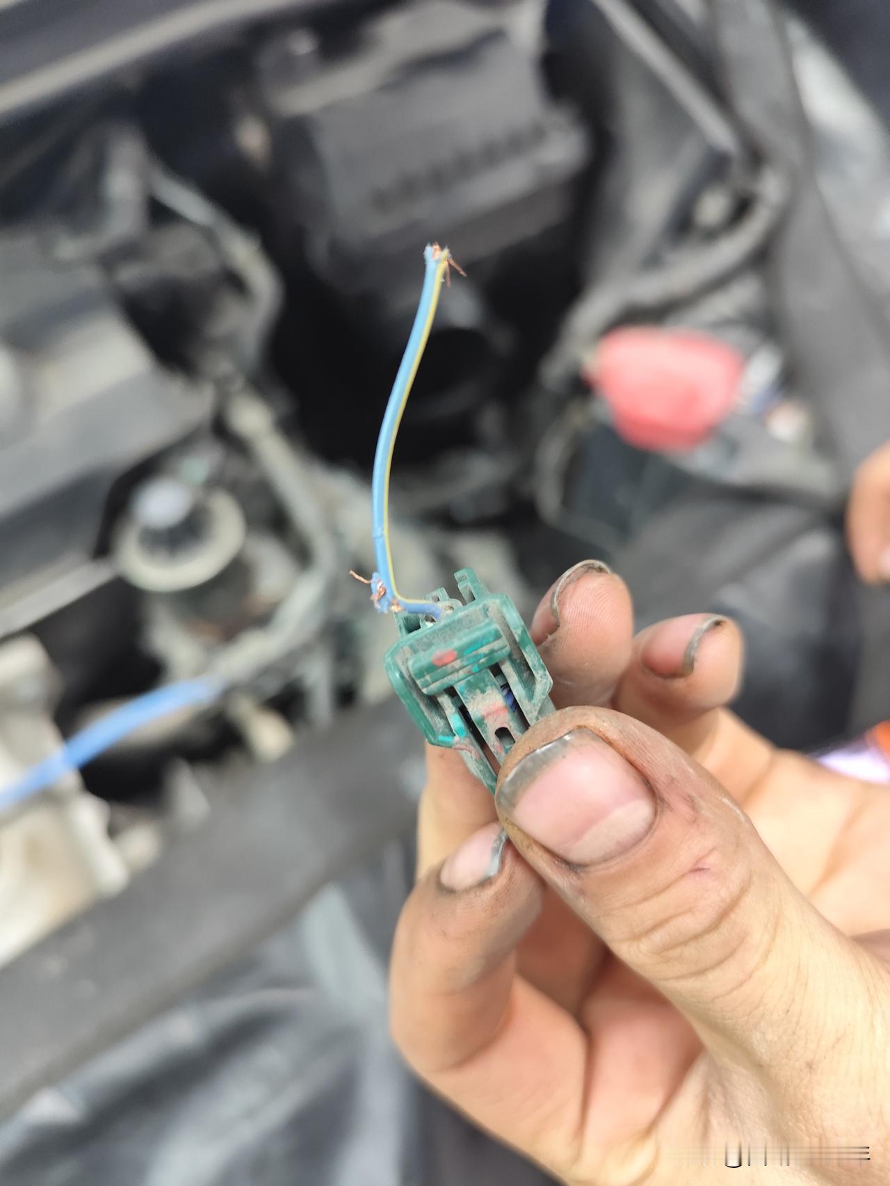 早上一发动车就显示“请检查变速箱”，去年年底才换的变速箱油，换挡也没有任何问题，