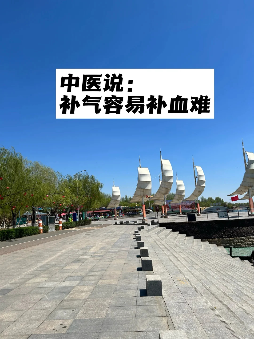 中医说：补气容易，养血难.