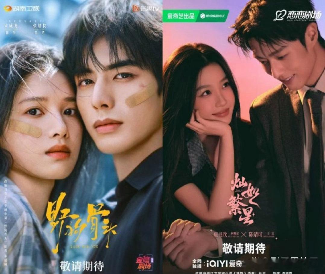 今天（7月5日），虞书欣的《灿如繁星》和张婧仪的《野狗骨头》同天开播了！一个是甜